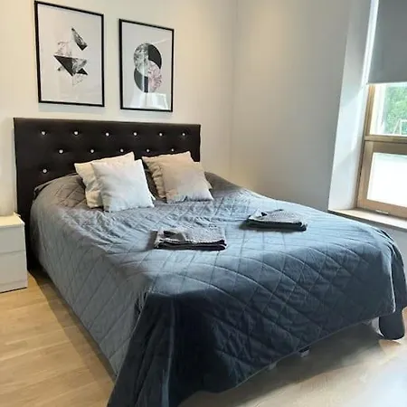 Villa Arctic Olivia *