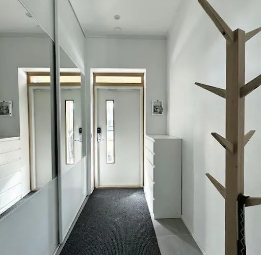 فيلة Arctic Olivia *