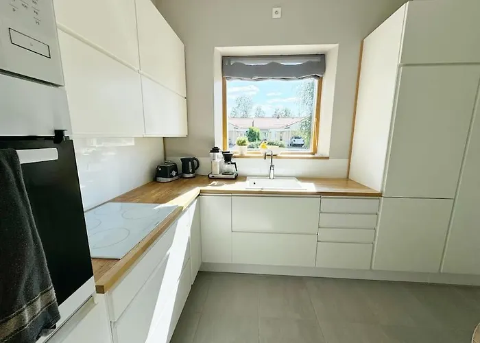 فيلة Arctic Olivia روفانييمي